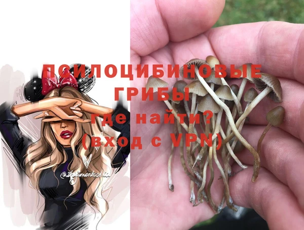 мяу мяу мука Алзамай