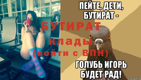 гашик Алексин