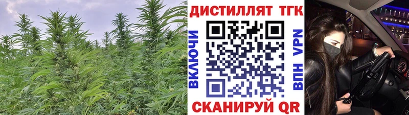 нарко площадка какой сайт  как найти закладки  Северодвинск  ТГК THC oil 