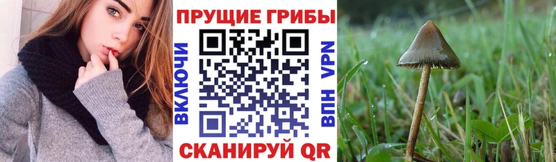 Псилоцибиновые грибы Magic Shrooms  Северодвинск 